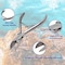 A2Z Scilab Coral Fragging Propagation 33 Pc Kit Cutters for Hard and Soft Coral in a Case A2Z-ZR-KIT-190 - alternate 7